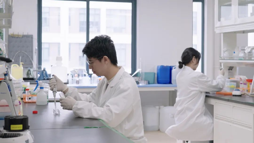 腾博会官网 - 诚信为本,专业效劳!